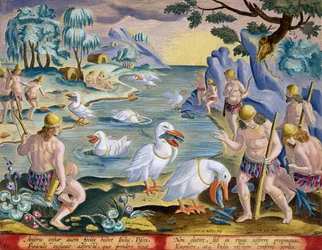 Semi-nakne Savages of India Using Pelicans to Catch Fish, plate 91 fra 'Venationes Ferarum, Avium, Piscium' (Of Hunting: Wild Beasts, Birds, Fish) gravert av Jan Collaert (1566-1628) utgitt av Ph.